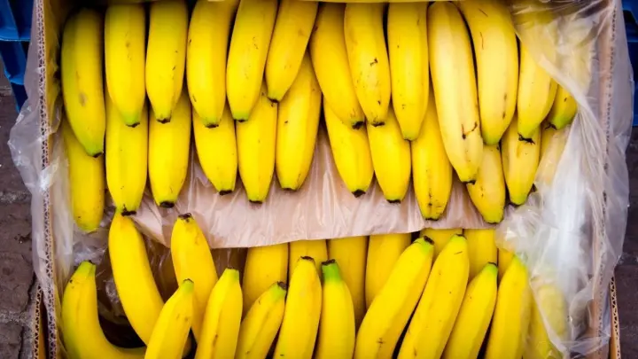 Челябинский бизнесмен предложил бананы «отечественного производства» — в УФАС не поверили