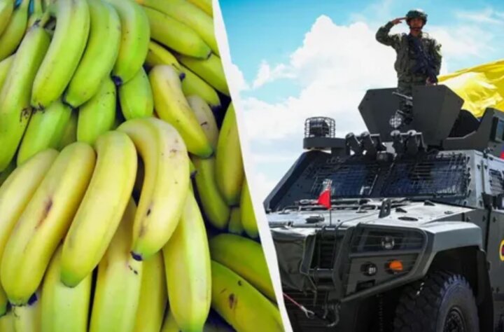 Россия прекращает импорт бананов и цветов из Эквадора. Следующие ананасы