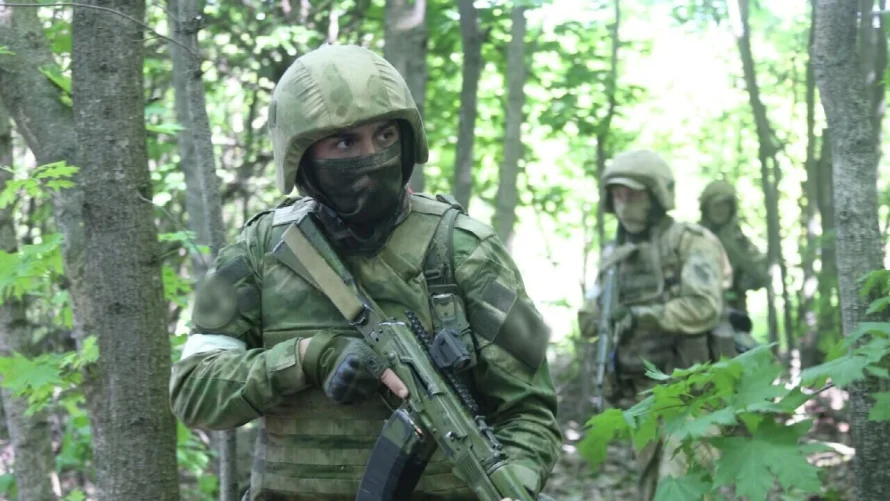 Карта боевых действий на 15 июня: новости СВО, военная сводка, 1208-й день спецоперации России на Украине