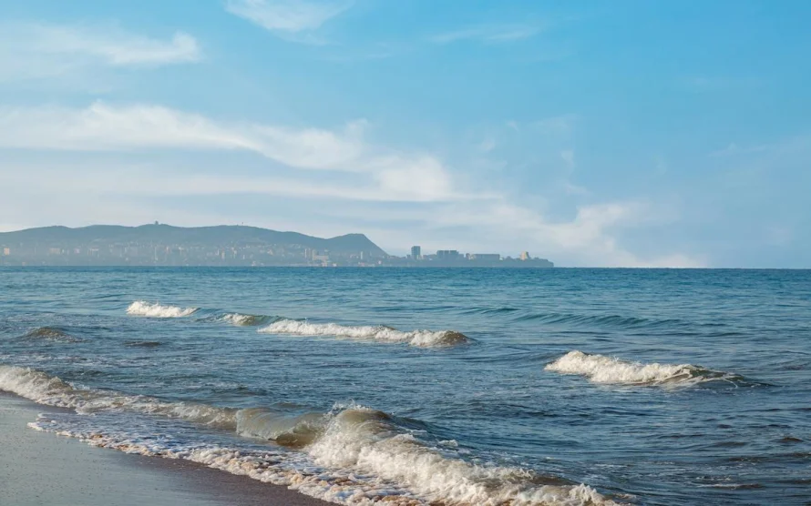 Черное море у Кубани теплее, чем в Крыму: ученые назвали виновника