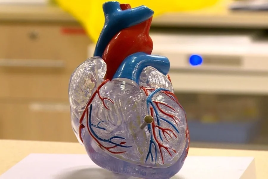 Российские учёные делают шаг к созданию искусственных органов для жизни до 150 лет