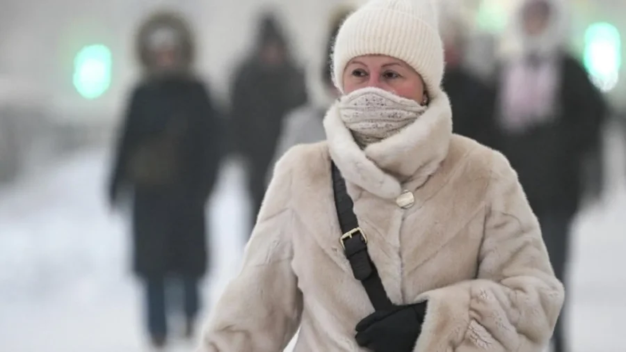 Арктический удар: Вильфанд предупредил сибиряков о морозах до -40°C