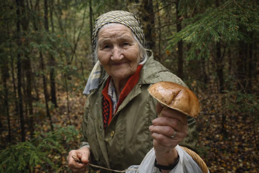 Грибы в рационе пожилых: ученые связали их употребление с улучшением памяти