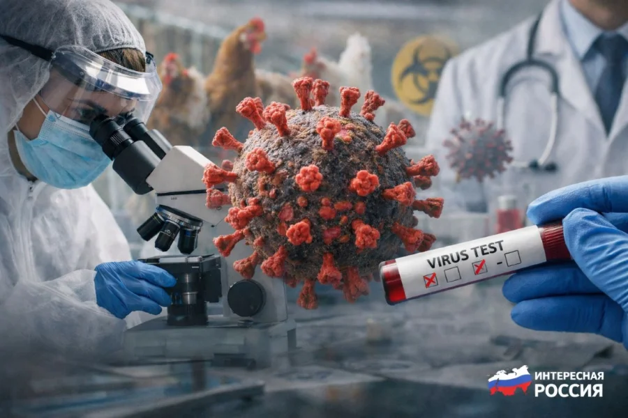 Смертоноснее COVID-19: вирусолог Малинникова предупредила о новой угрозе человечеству