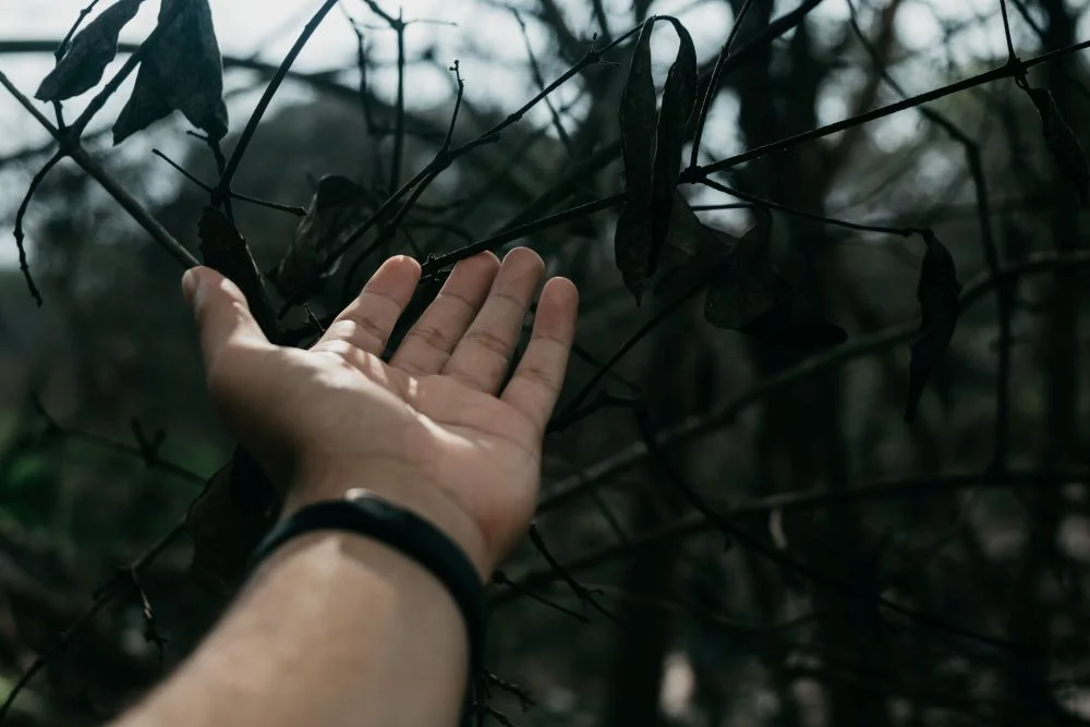 За гранью боли: что ждёт душу после смерти? Богословы исследуют вечность