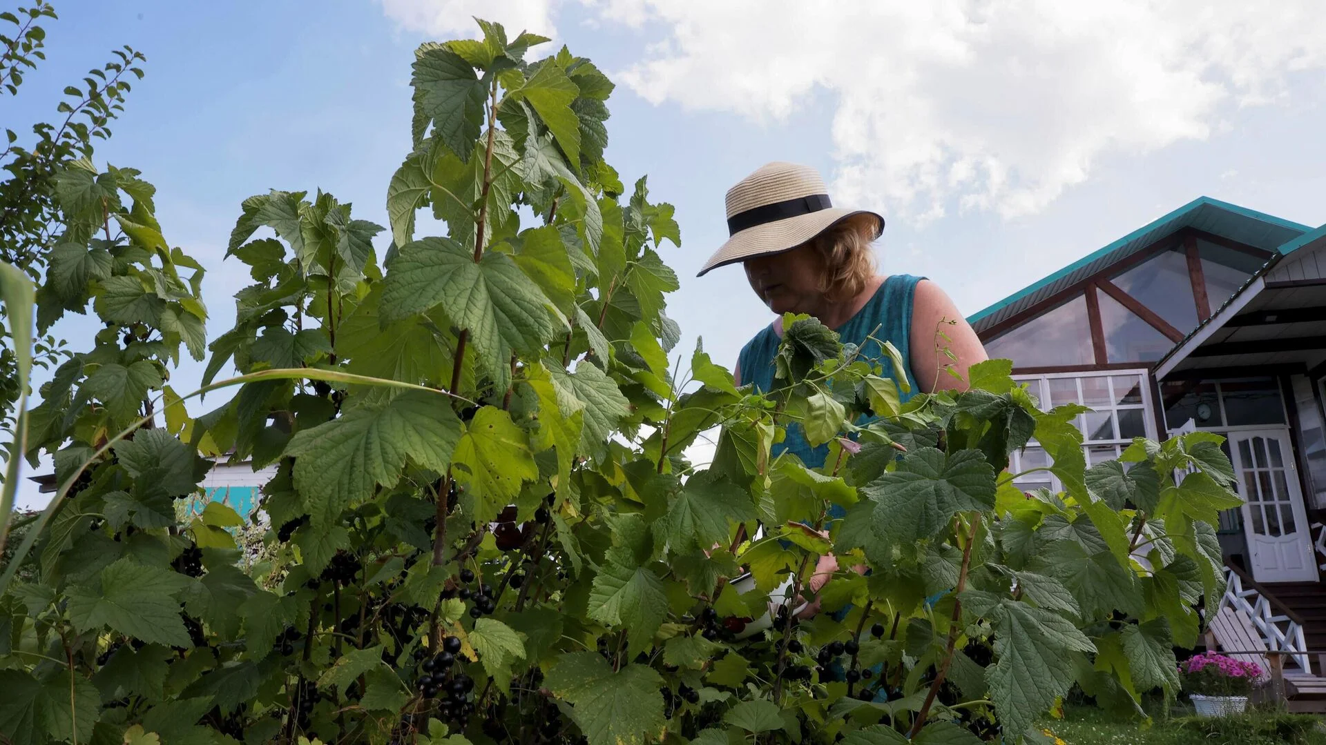 С 1 марта 2026 года: какие зелёные «питомцы» станут вне закона на вашей даче