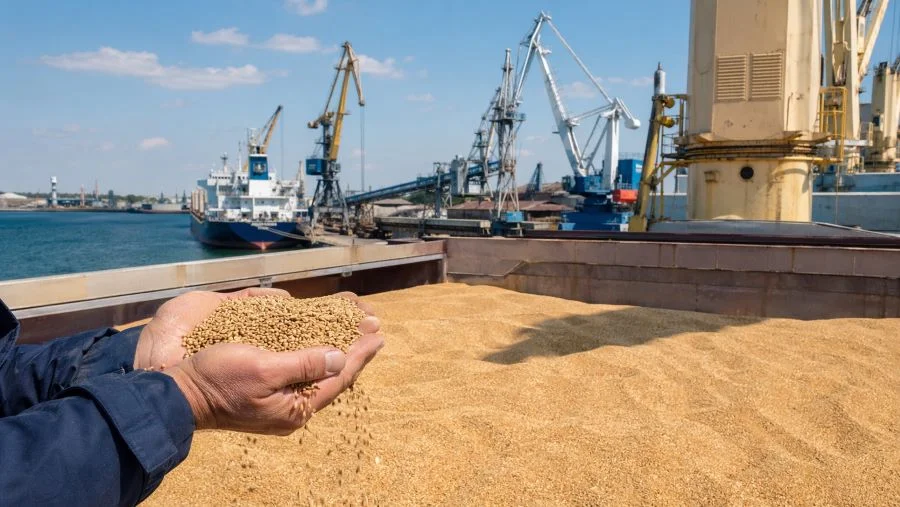 Зерновой барьер: почему международных стандартов ВТО недостаточно для глобального экспорта