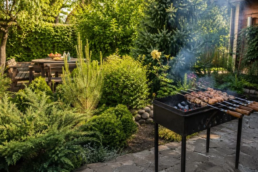 Не ставь эти 5 растений у мангала: эколог назвал скрытую пожарную угрозу
