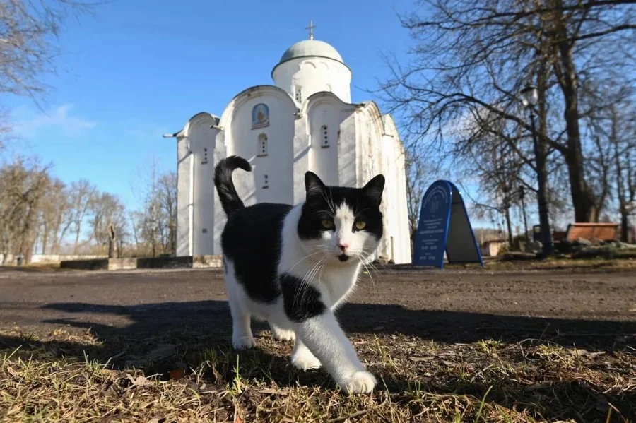 Александр Дрозденко раскрыл секрет «места силы» в Старой Ладоге