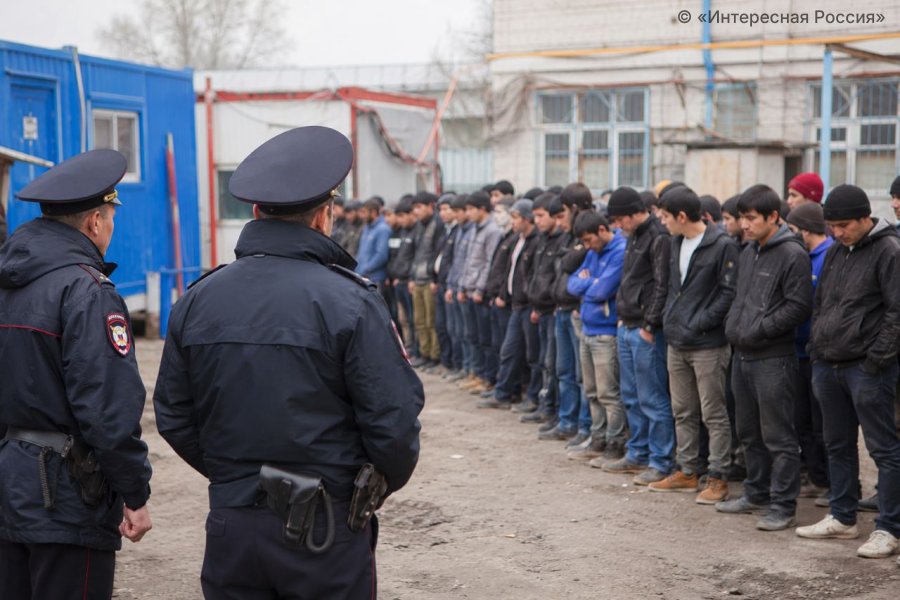 Миграционные рейды в Подмосковье: полиция выявила 148 нарушителей