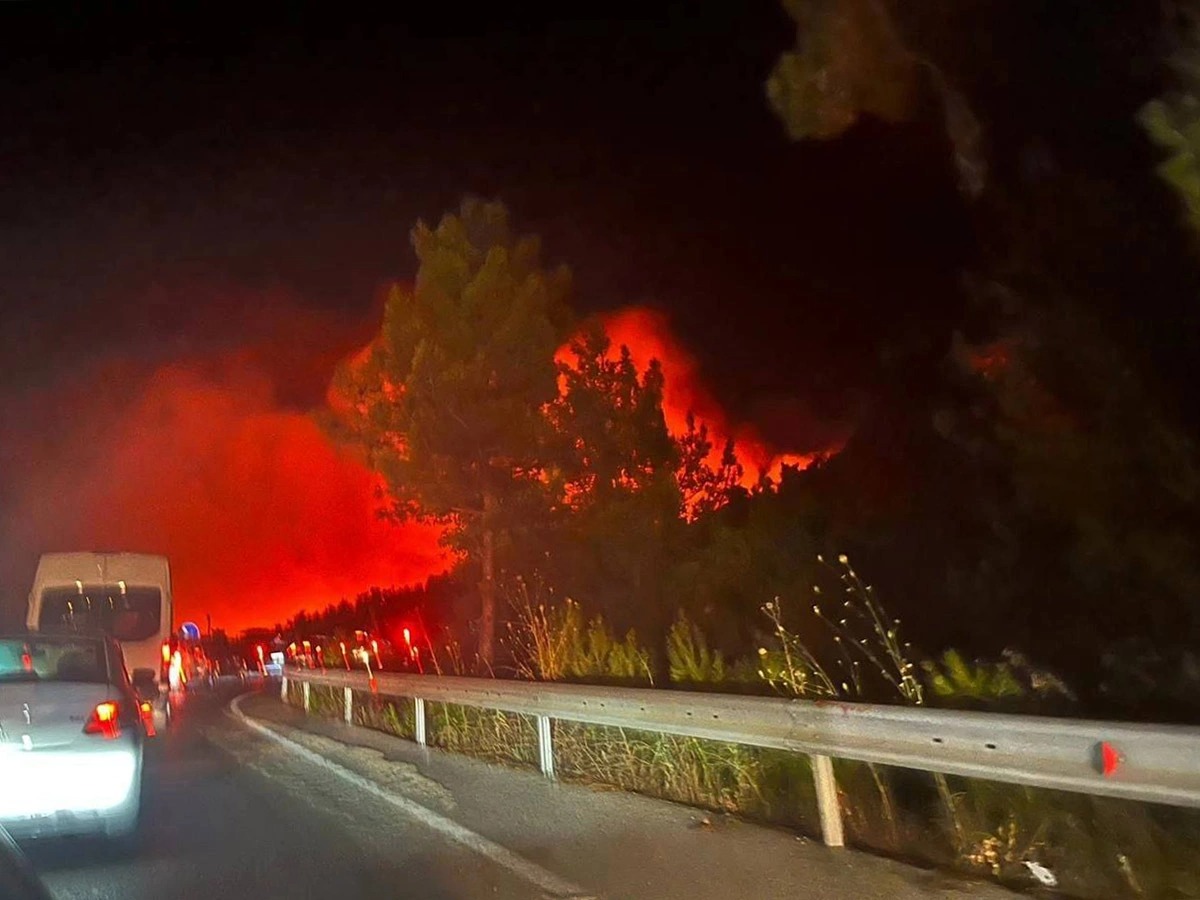 О ситуации с лесными пожарами в Турции сегодня, 28 июля рассказали СМИ