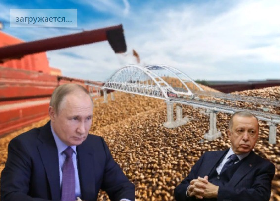 Эрдоган испугался: жирный крест на мечтах Зеленского о поставках зерна поставила Россия